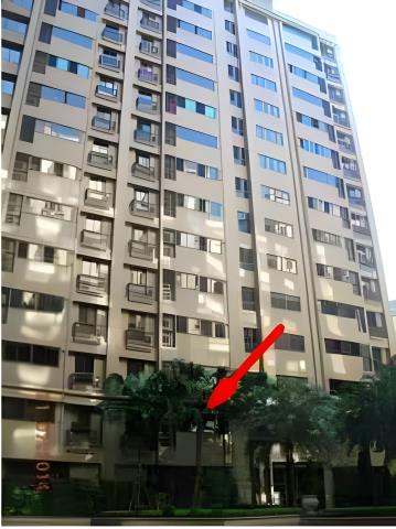 樹林法拍大樓-3