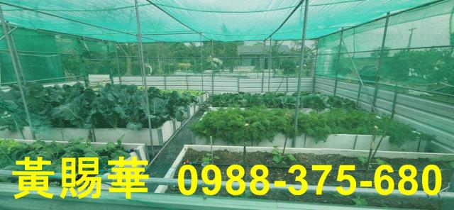 桃園新屋資材室-8