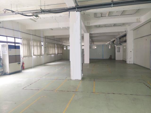 新北五股廠房-4