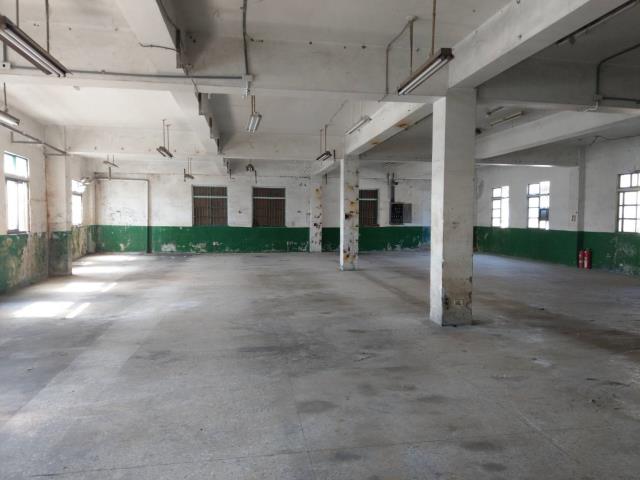 桃園廠房-6