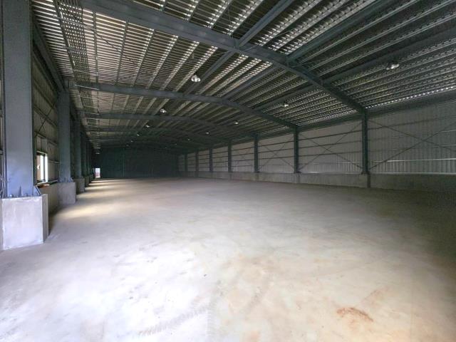 新北八里廠房-1