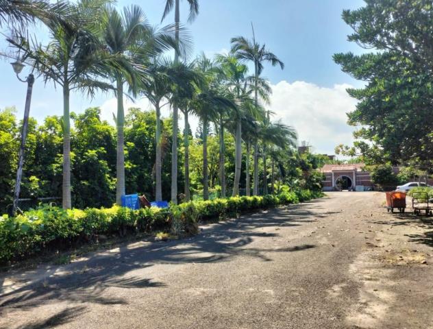 新竹新豐廠房-2