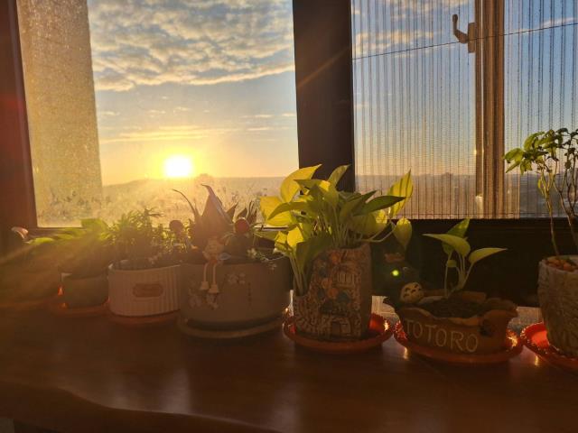 桃園龍潭大樓-13