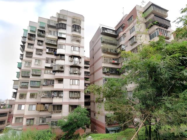 新北樹林大樓拍賣-4