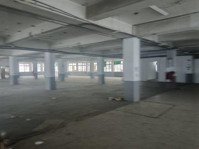新北中和廠房-1