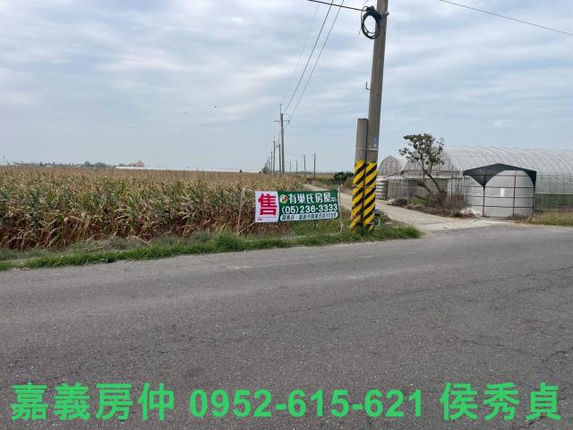 嘉義六腳牧場-1