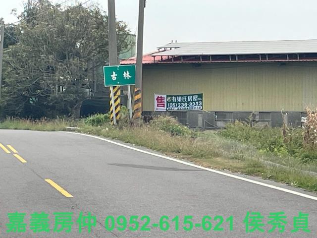 嘉義六腳牧場-2