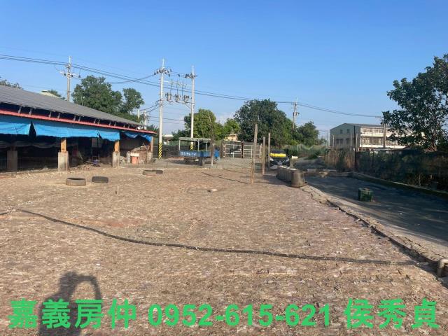 嘉義六腳牧場-6