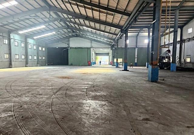 桃園大園廠房-1