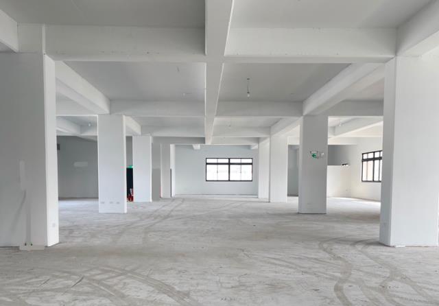新北五股廠房-1