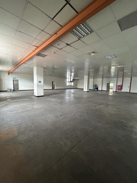 桃園龍潭廠房-3