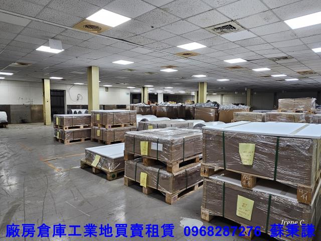 桃園中壢廠房-2