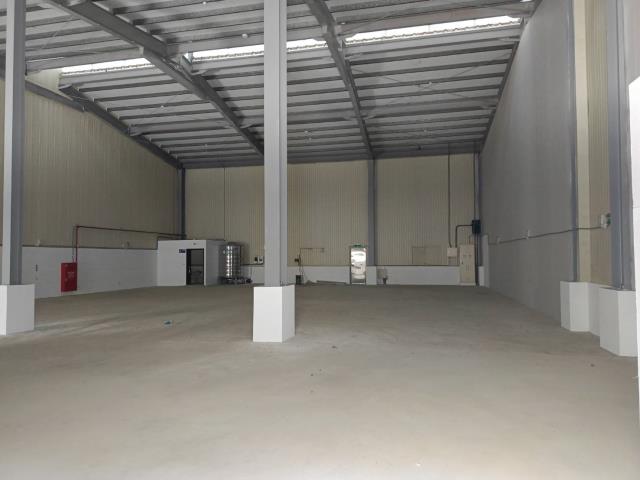 新北樹林廠房-6