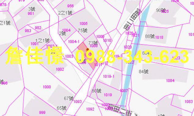 花蓮法拍透天-3