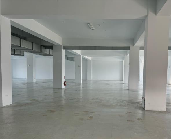 新北新莊廠房-1