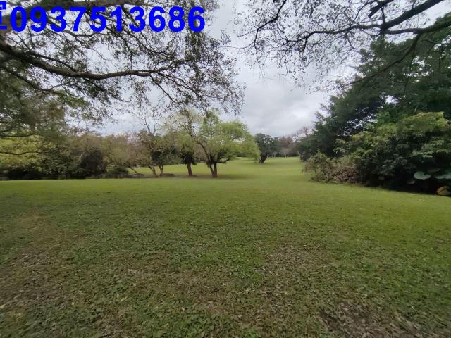 宜蘭羅東華廈-14