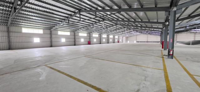 桃園大園廠房-6