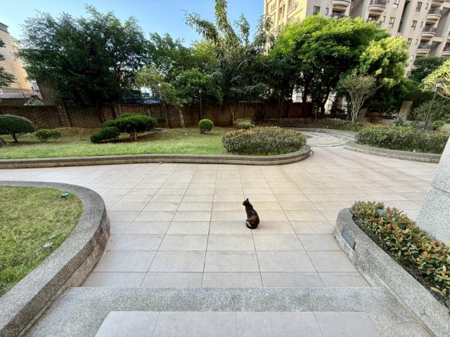 桃園中壢大樓-12