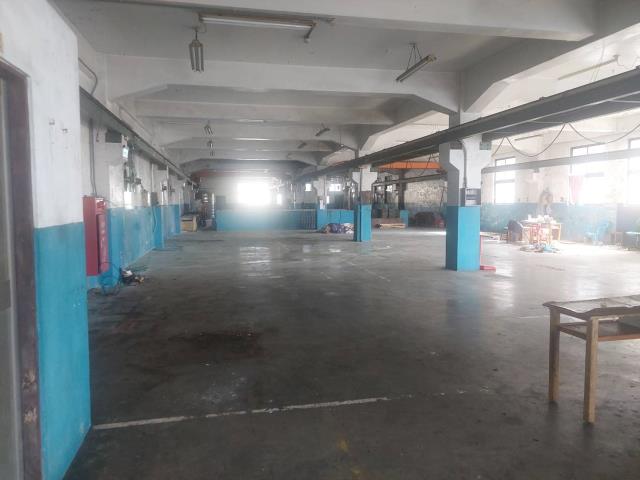 新北蘆洲廠房-3