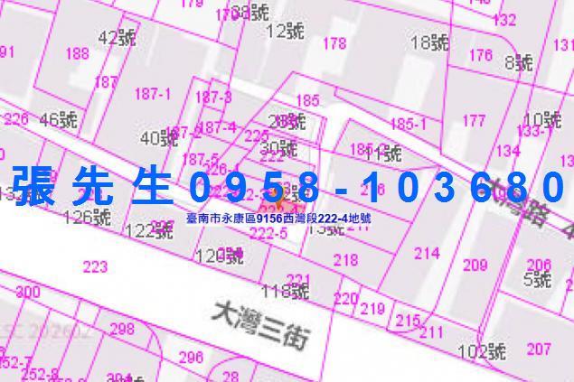 台南法拍透天-5