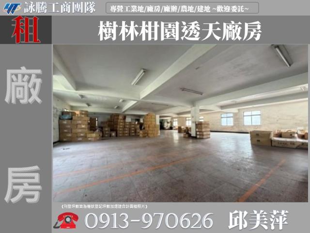 樹林廠房-1