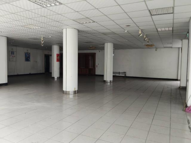 新竹竹北廠房-1