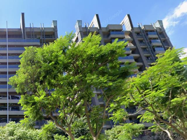 新北樹林拍賣大樓-4