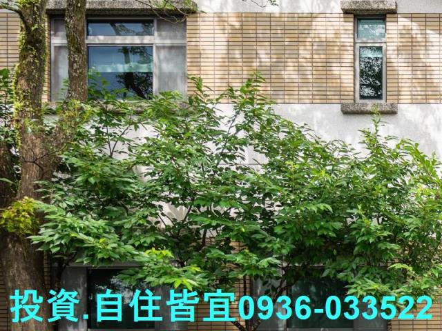 萬里法拍透天-3