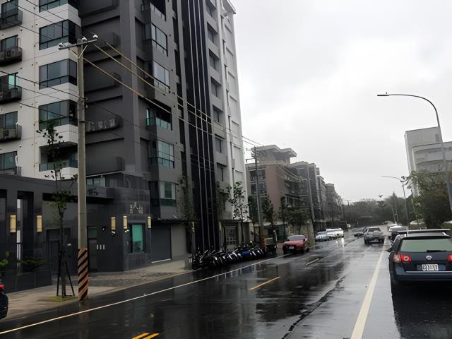 桃園拍賣華廈-6