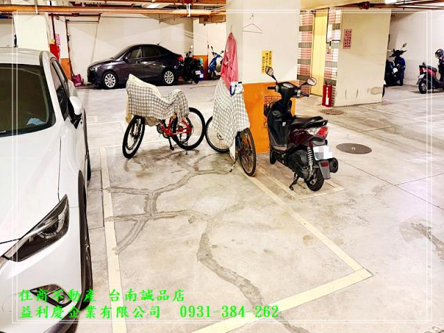 591黃培倫591