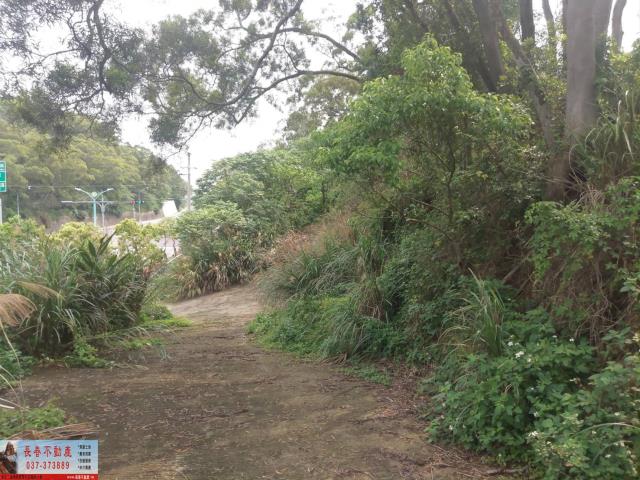 苗栗山坡地-4