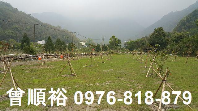 新竹尖石農地-10