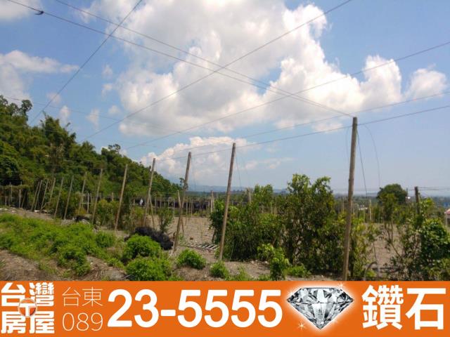 台東農地-9