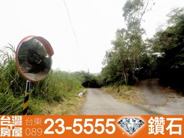 台東卑南農地-11