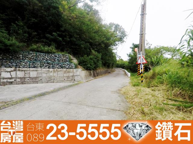 台東卑南農地-7