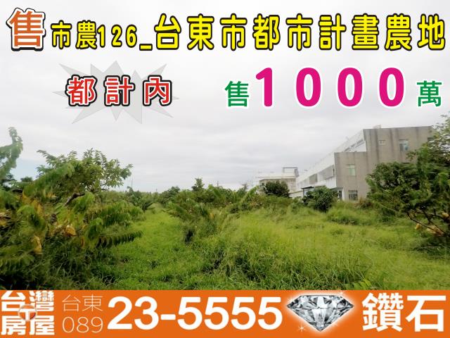 台東台東市農地-1