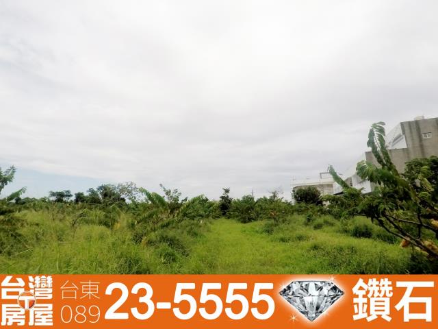 台東台東市農地-3