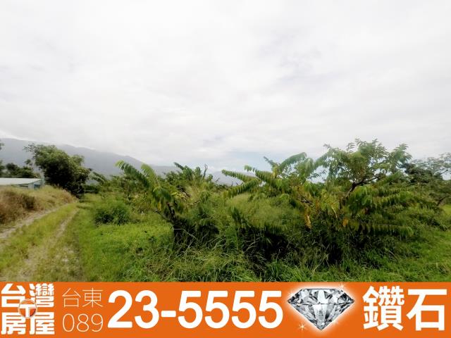台東台東市農地-5