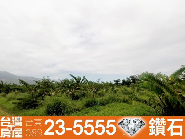 台東台東市農地-8