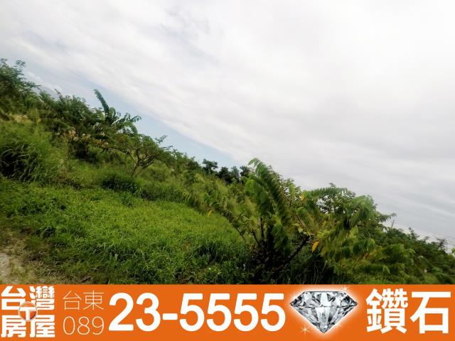 台東台東市農地-9