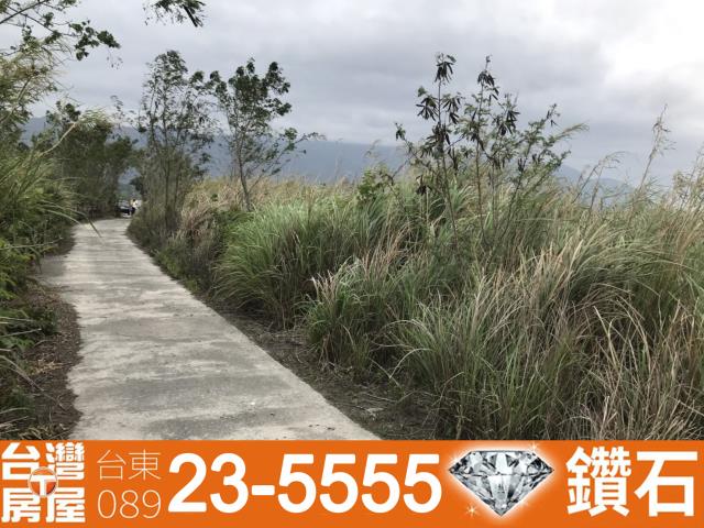 台東房屋仲介公司