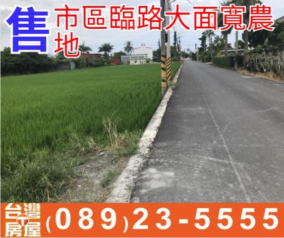 市區臨路大面寬農地