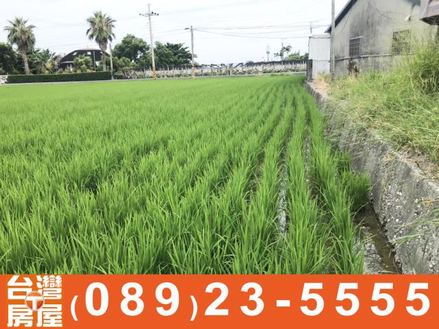台東土地買賣