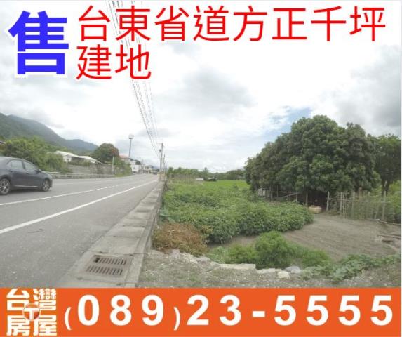台東省道方正千坪建地