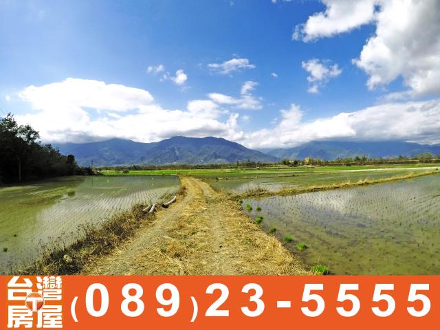 台東土地買賣