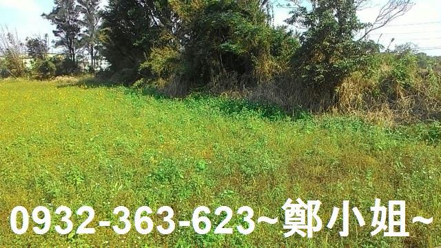 桃園新屋農地-4