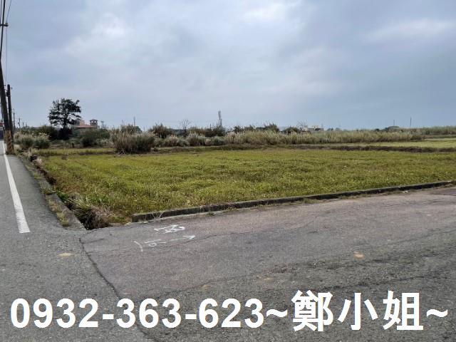 桃園新屋農地-12