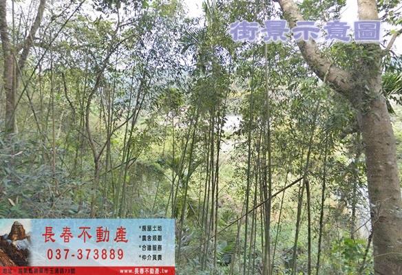 苗栗獅潭農地-1