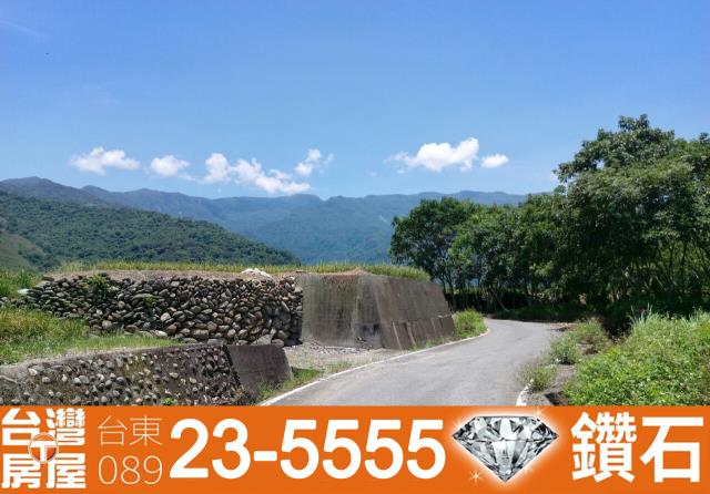 台東鹿野農地-12