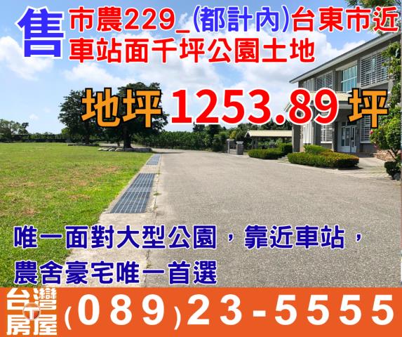 台東台東市農地-1